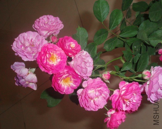 Ǿޱ3.jpg