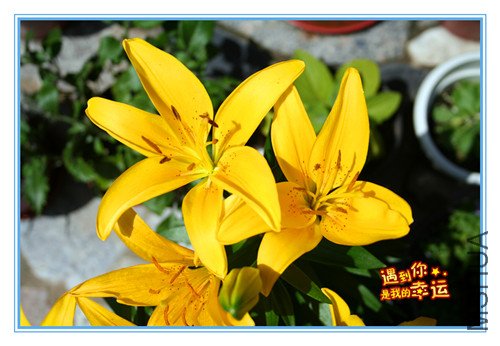 ��Ƭ 032_����3.jpg