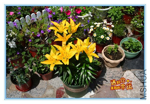 ��Ƭ 030_���� ���ްٺ� С�۷�.jpg