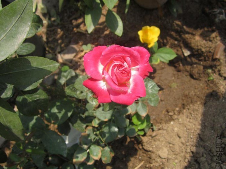 IMG_3228.jpg