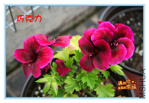 ��Ƭ 113_���ɱ�.jpg