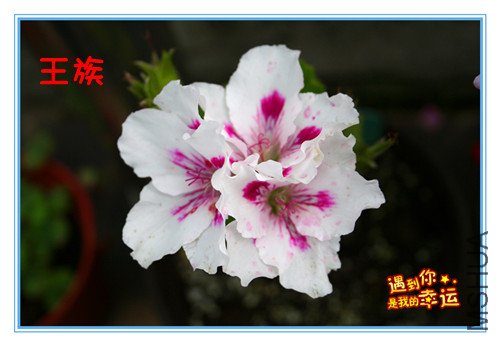 ��Ƭ 114_������.jpg