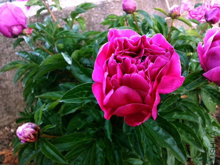 20120516_073800.jpg