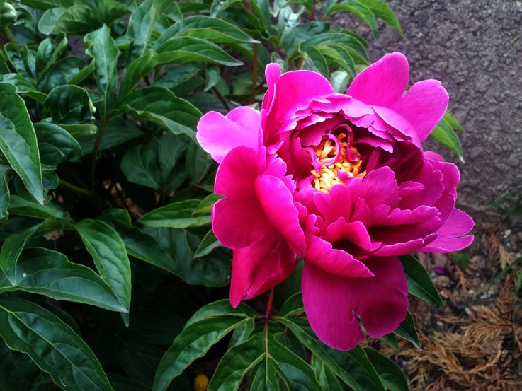 20120517_184533.jpg