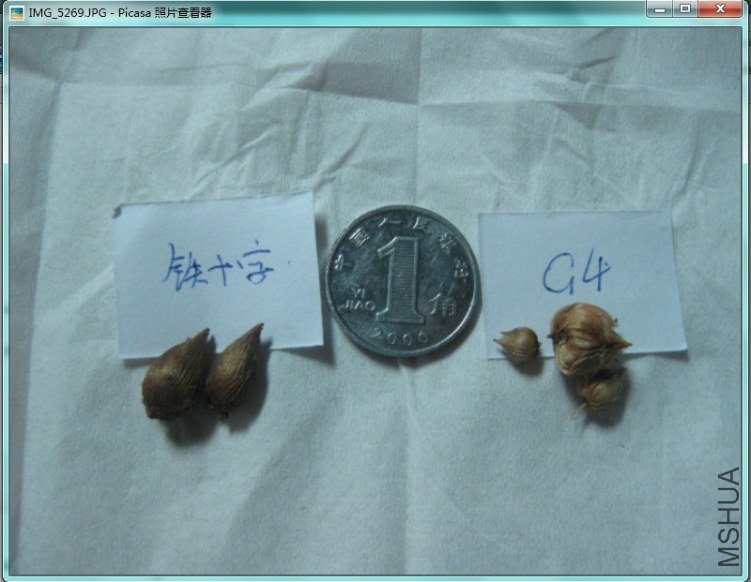 QQ��ͼ20120520180212.jpg