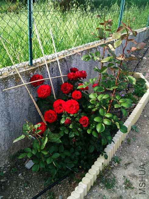 20120514_185309.jpg