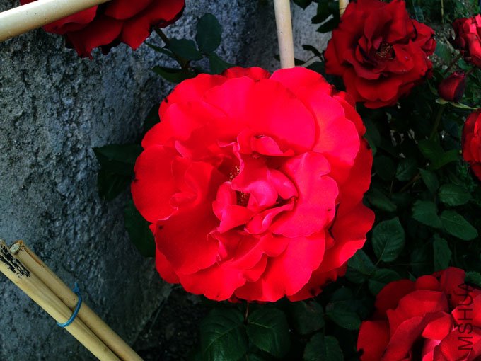 20120514_185341.jpg