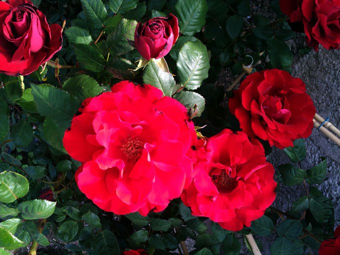 20120514_185350.jpg
