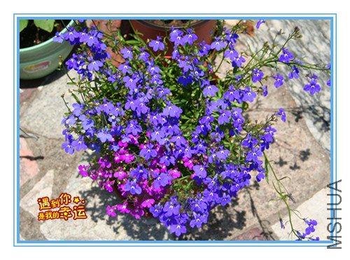 ��Ƭ 011_����.jpg