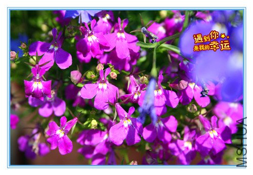 ��Ƭ 012_����.jpg