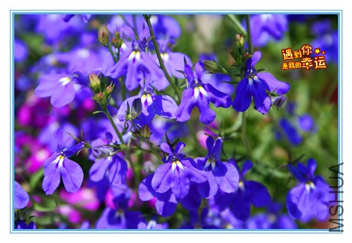 ��Ƭ 013_����.jpg