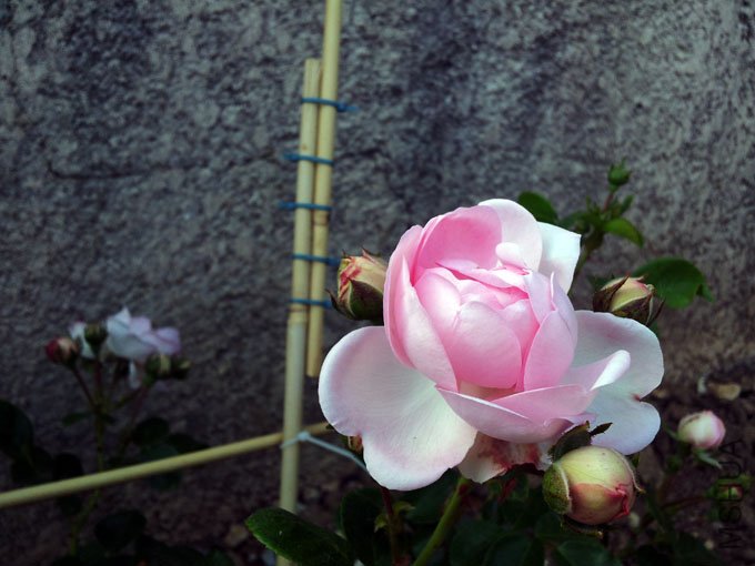 20120514_185431.jpg