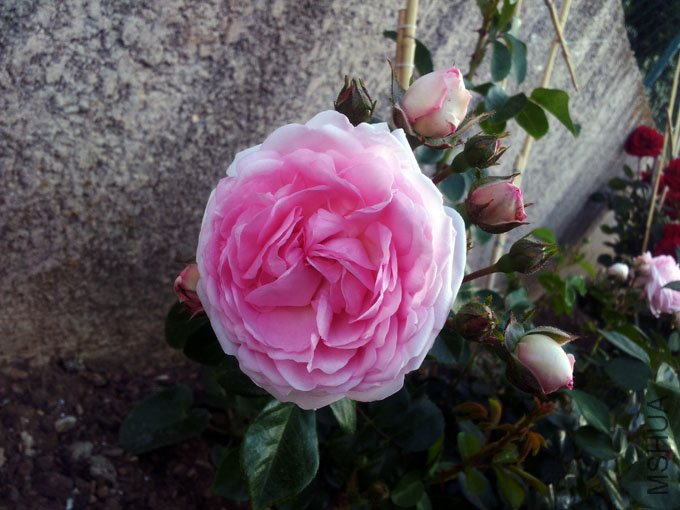 20120517_080639.jpg