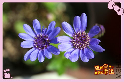 img_2604_���� ������ ����ͯ��1.jpg