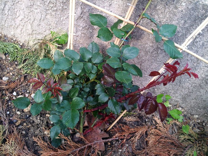 20120508_080646.jpg