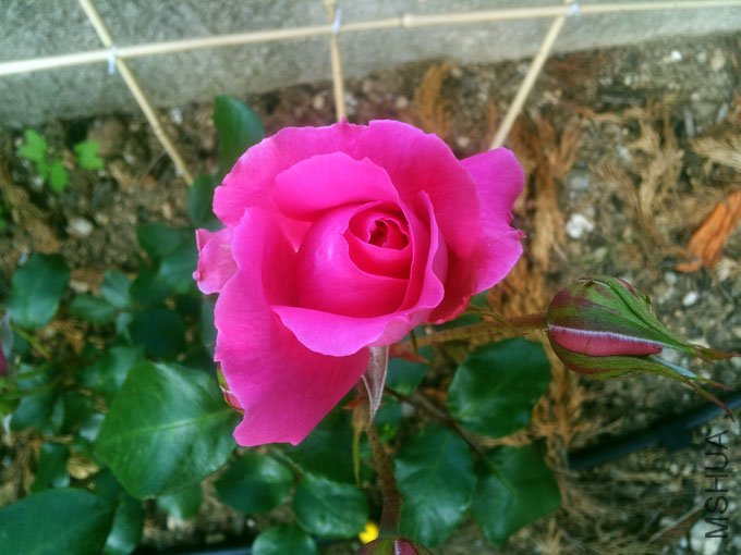 20120509_085126.jpg
