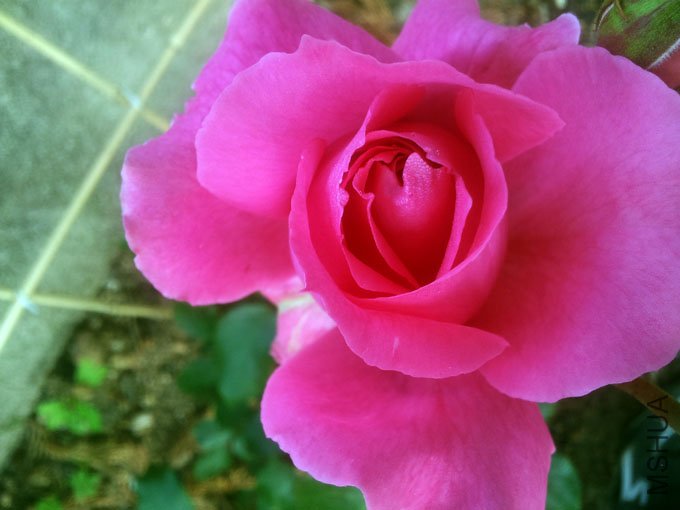 20120510_074913.jpg