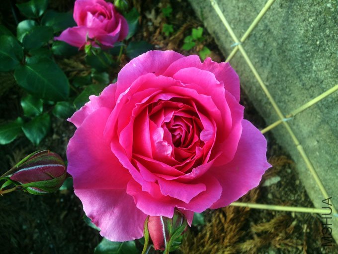 20120511_080541.jpg