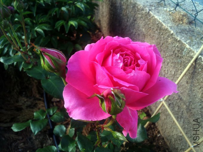 20120511_080559.jpg