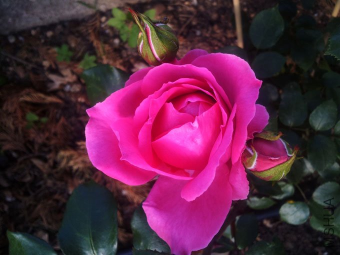 20120511_080629.jpg