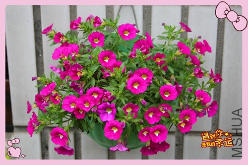 ��Ƭ 070_����1.jpg