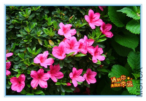 ��Ƭ 049_����2.jpg