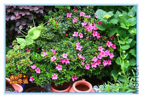 ��Ƭ 048_������1.jpg