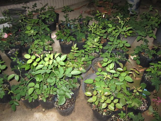 ��Ƭ 045.jpg