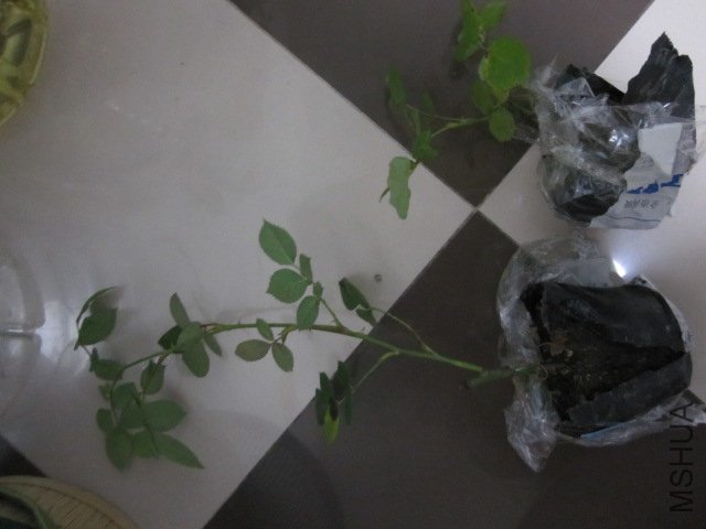��Ƭ 048.jpg