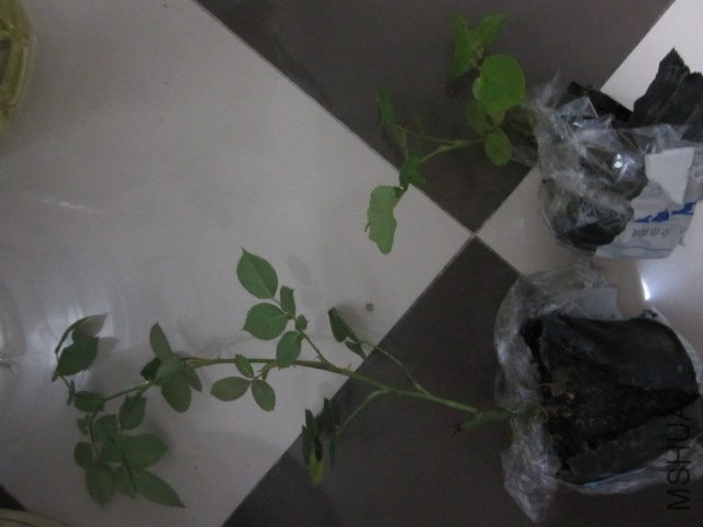 ��Ƭ 049.jpg