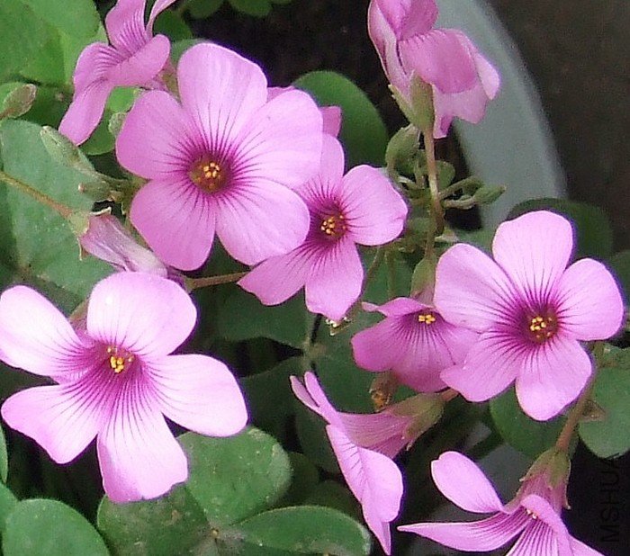 DSCF3419.jpg