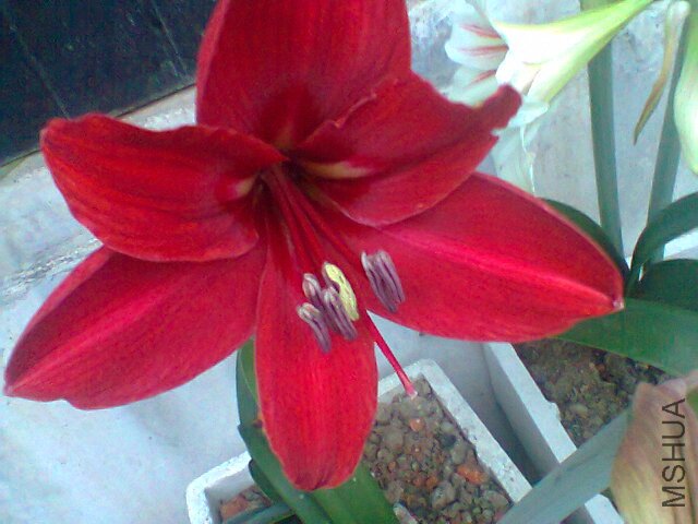 ��Ƭ0299.jpg