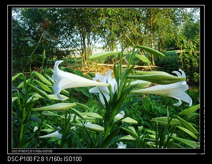 nEO_IMG_nEO_IMG_DSC05041.jpg