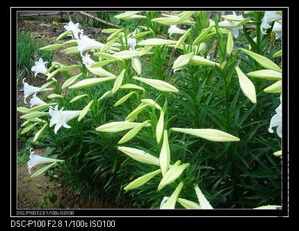 nEO_IMG_nEO_IMG_DSC04947.jpg