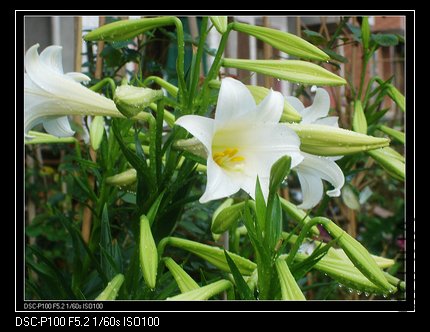 nEO_IMG_nEO_IMG_DSC04945.jpg