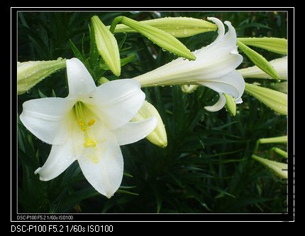 nEO_IMG_nEO_IMG_DSC04946.jpg