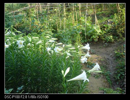 nEO_IMG_DSC05042.jpg