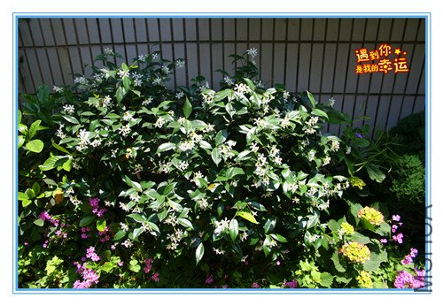 ��Ƭ 032_������.jpg