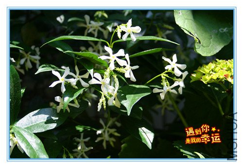 ��Ƭ 034_����.jpg