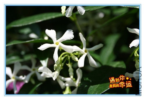 ��Ƭ 035_����.jpg