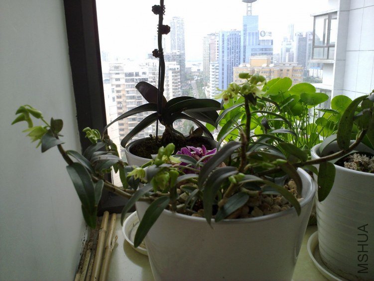 20120521870.jpg