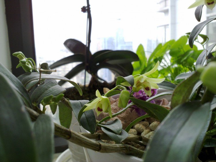 20120521872.jpg