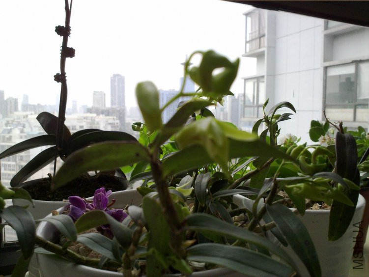 20120521874.jpg