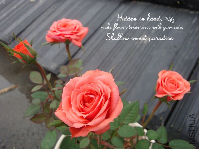DSC05815.JPG