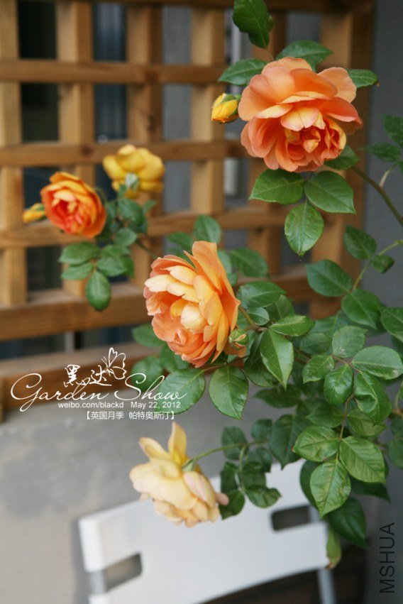 IMG_2891 ����.jpg