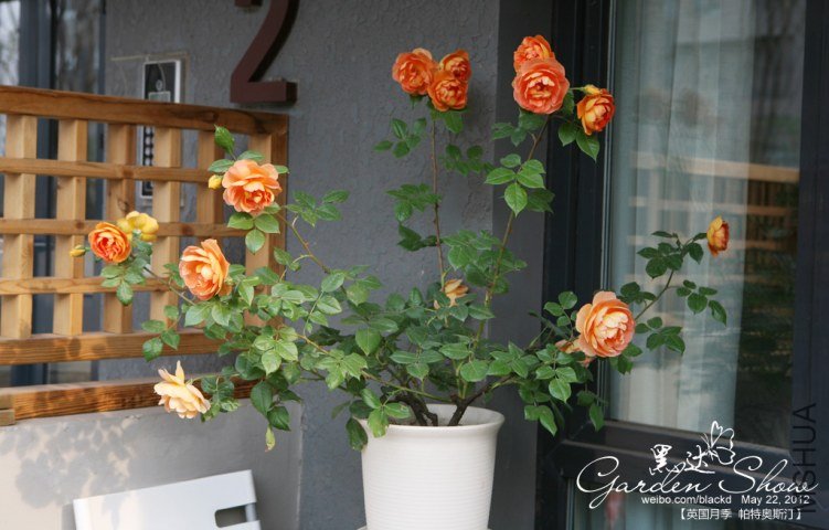 IMG_2928 ����.jpg