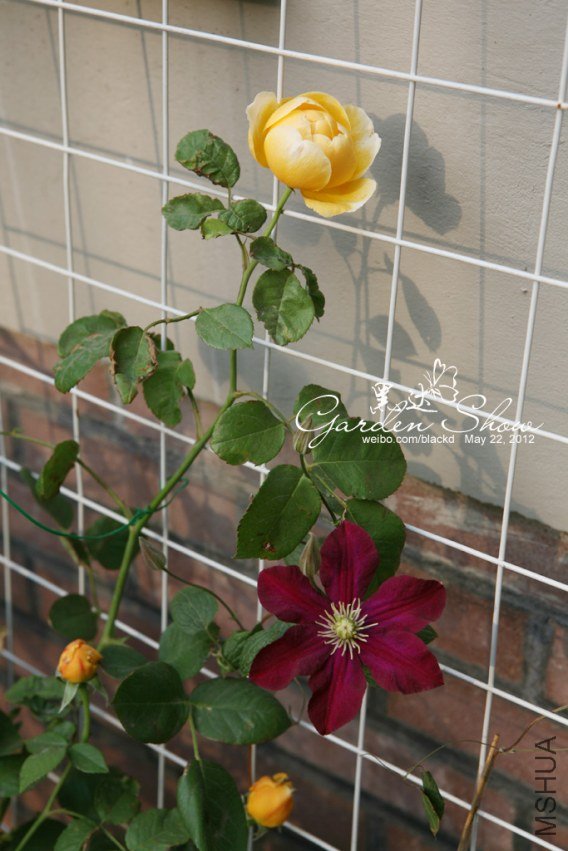 IMG_2908 ����.jpg