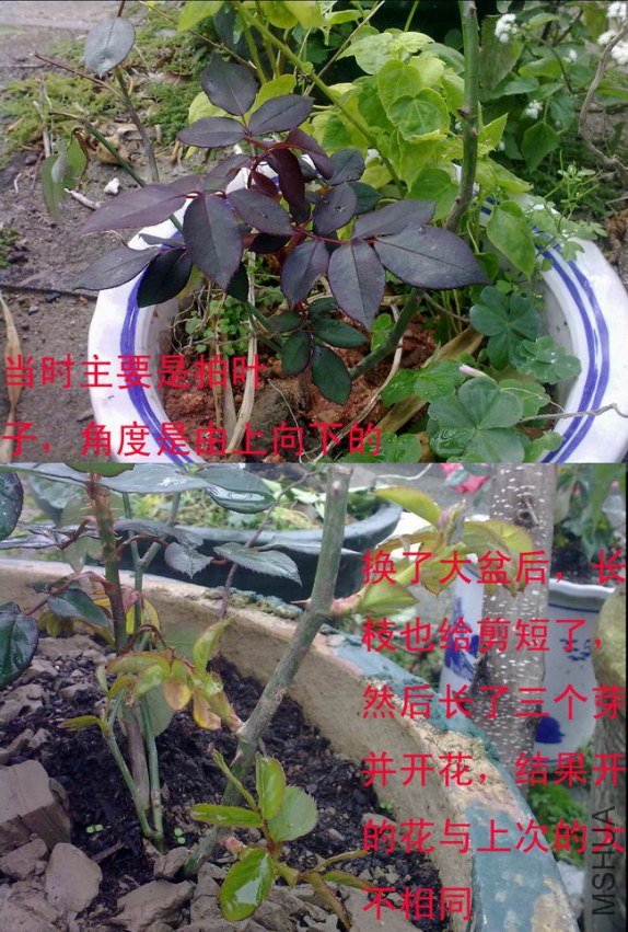 �¼�b04.jpg