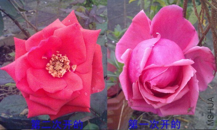 �¼�b05.jpg