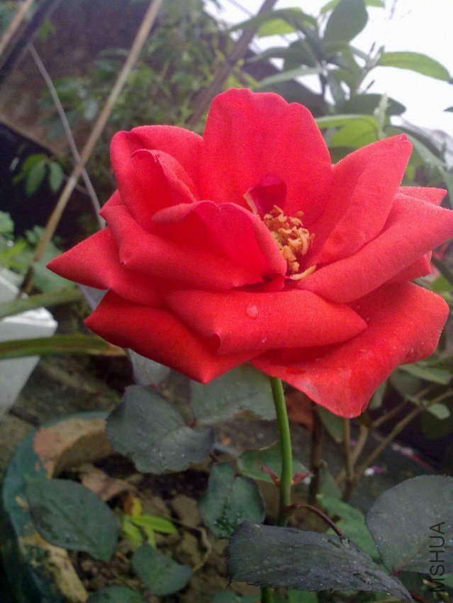 �¼�b08.jpg